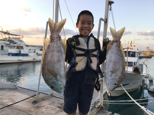 シロダイの釣果