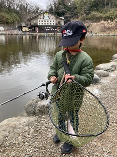 レインボートラウトの釣果