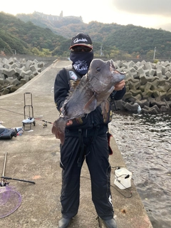 コブダイの釣果