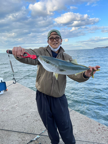 メジロの釣果