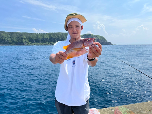 シブダイの釣果