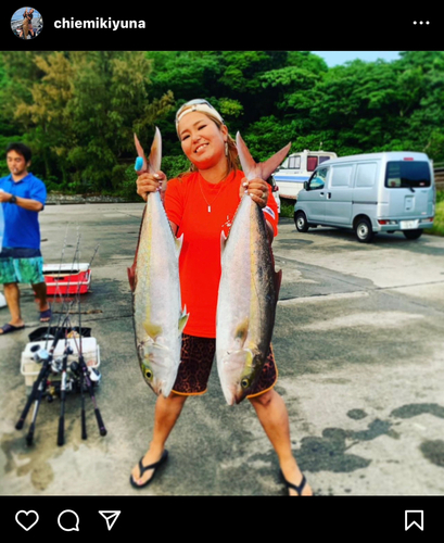 カンパチの釣果