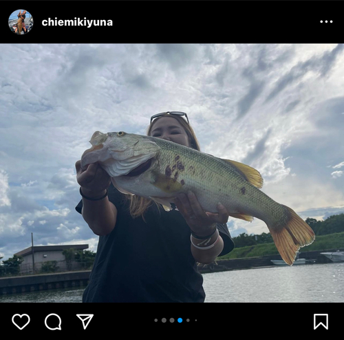 ブラックバスの釣果