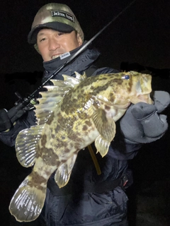 タケノコメバルの釣果