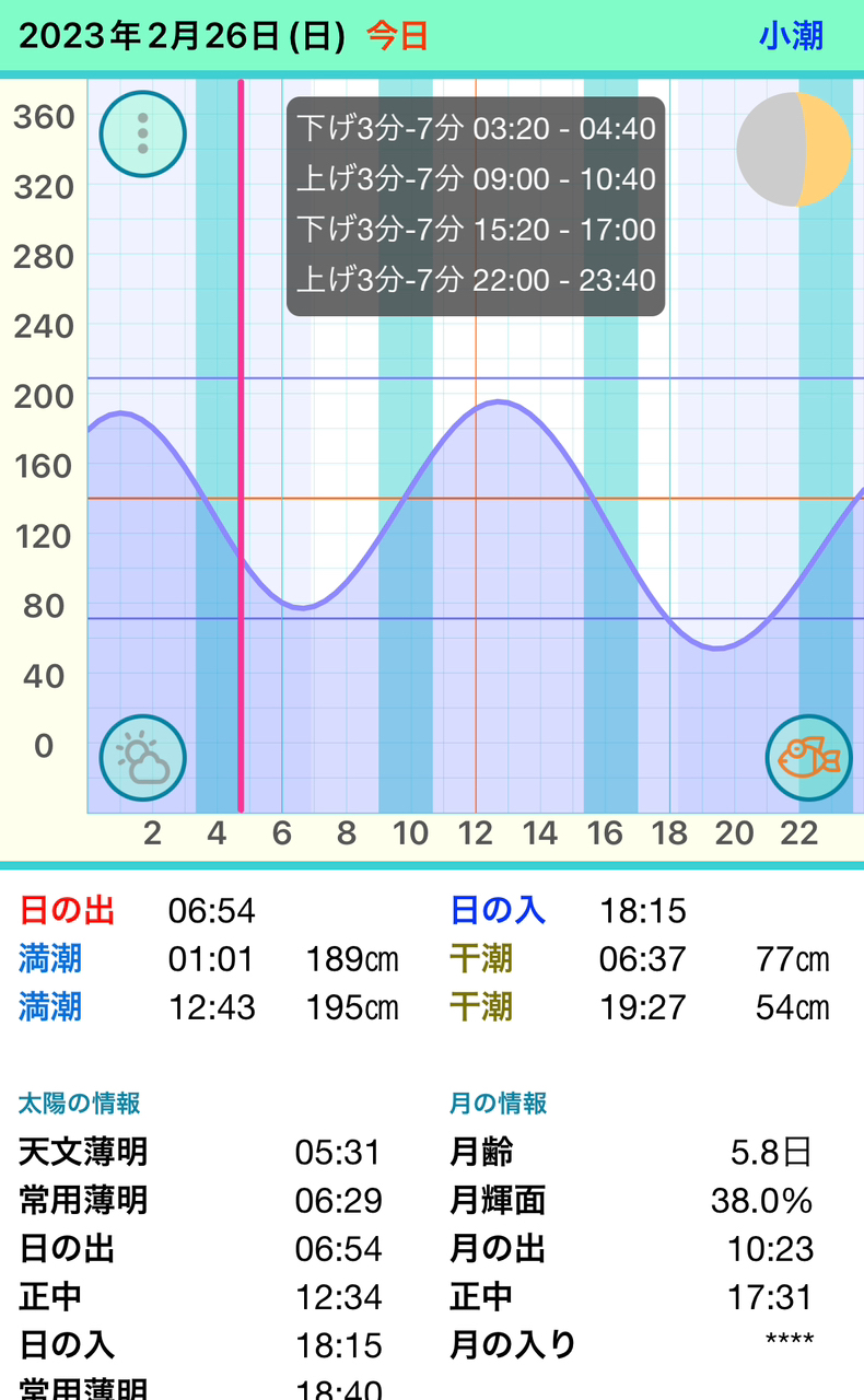 ケンサキイカ