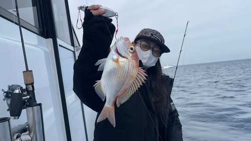 レンコダイの釣果