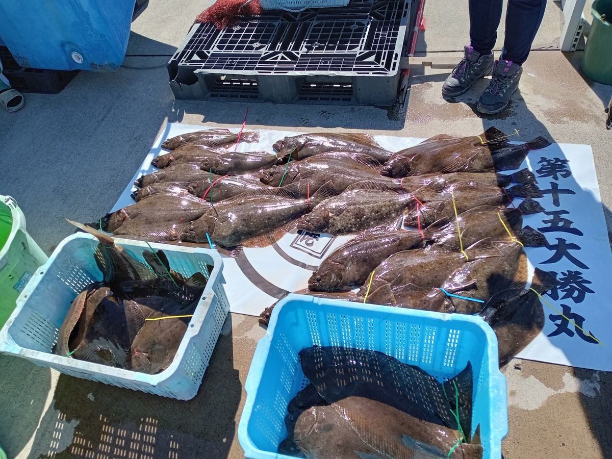 N.S.A.Cさんの釣果 3枚目の画像