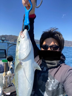 メジロの釣果