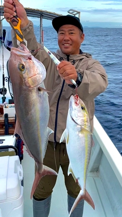 カンパチの釣果