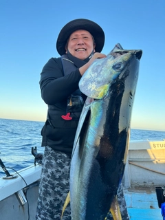 キハダマグロの釣果