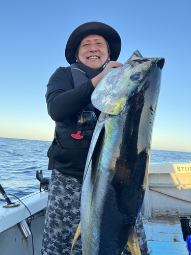 キハダマグロの釣果