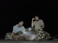 イシミーバイの釣果