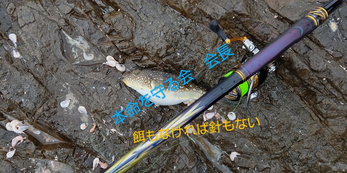 間瀬さんの釣果 2枚目の画像