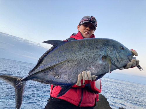 カスミアジの釣果