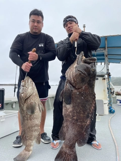 ヤイトハタの釣果