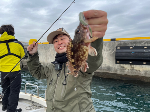 カサゴの釣果