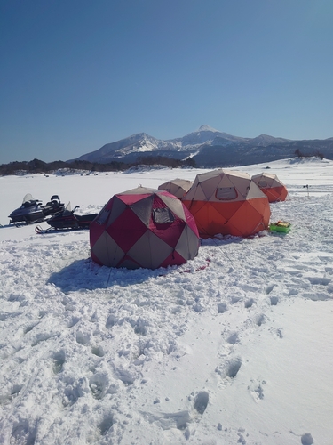 ワカサギの釣果