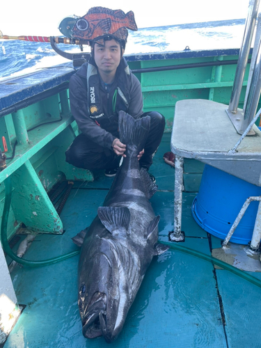 アブラボウズの釣果