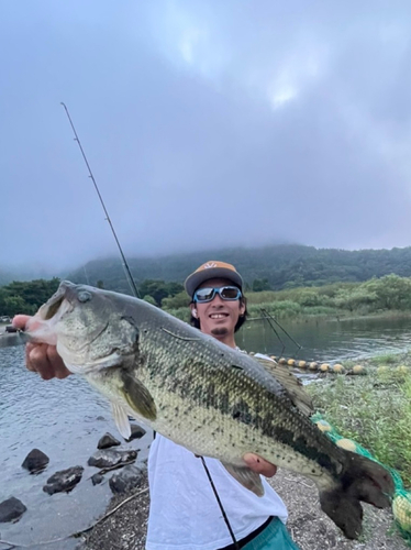 ラージマウスバスの釣果