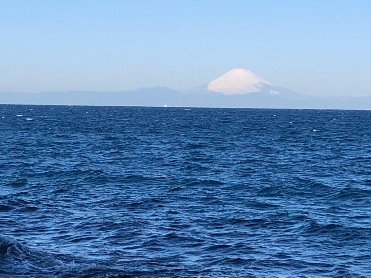 ビーサンさんの釣果 3枚目の画像