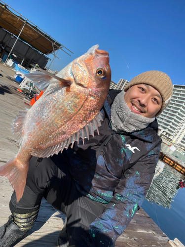 タイの釣果