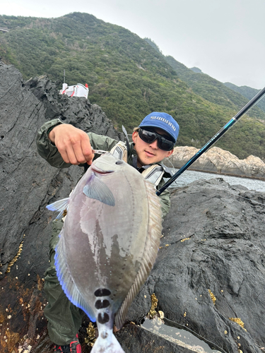 サンノジの釣果