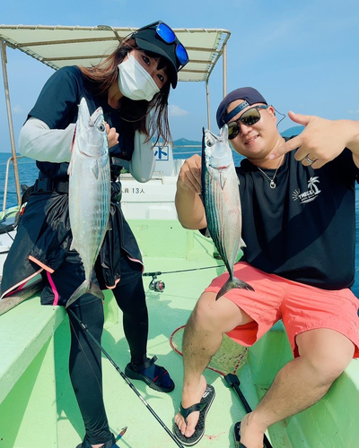 ハガツオの釣果