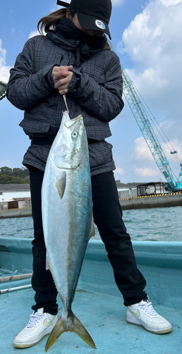 ブリの釣果