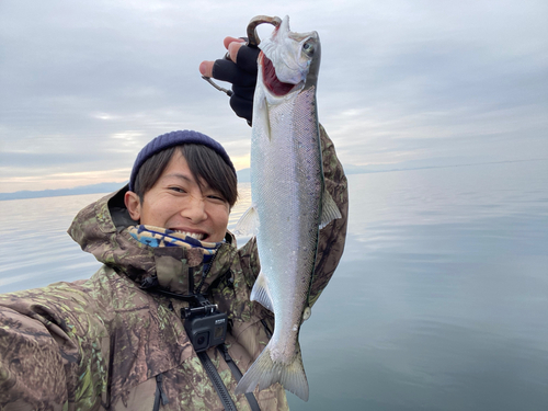 ビワマスの釣果