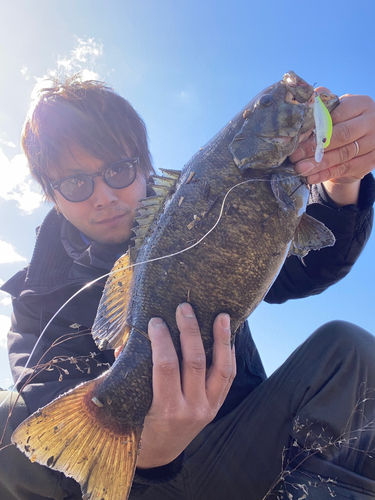 スモールマウスバスの釣果