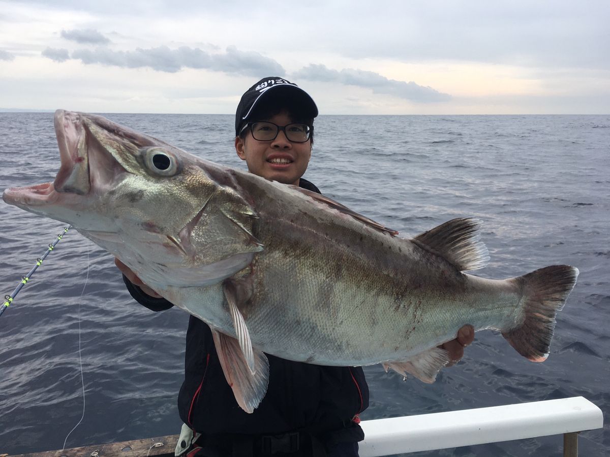 ヘッポコ船頭　大宝丸さんの釣果 2枚目の画像