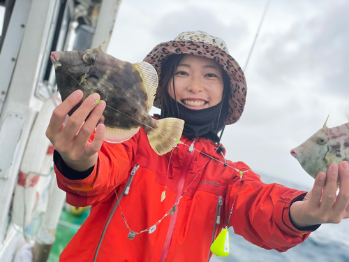 カワハギの釣果