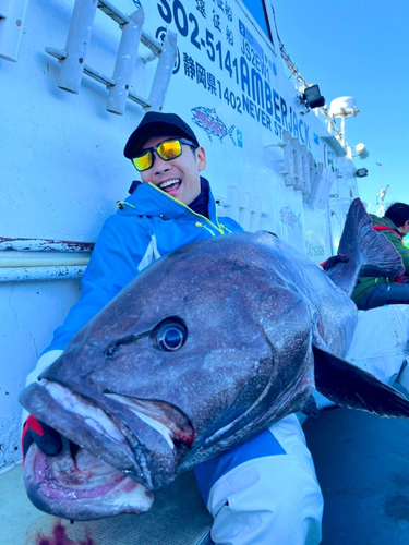 アブラボウズの釣果