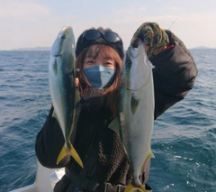 ヤズの釣果