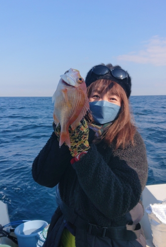 レンコダイの釣果