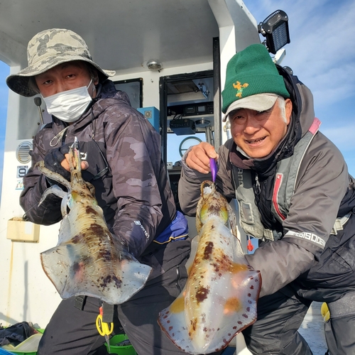 アオリイカの釣果