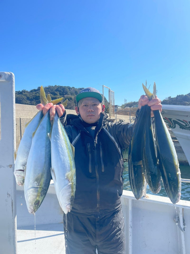 ハマチの釣果