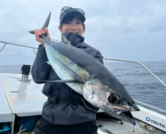 ビンチョウマグロの釣果