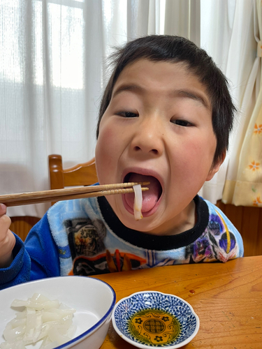 ヤリイカの釣果