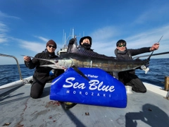 ビンチョウマグロの釣果