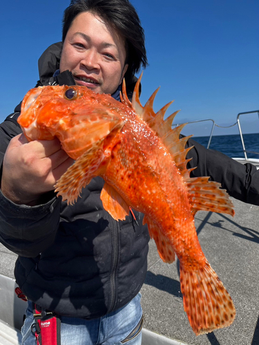 オニカサゴの釣果