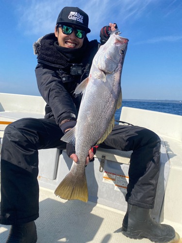 ニベの釣果