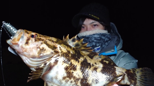 タケノコメバルの釣果