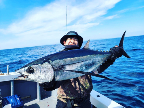 ビンチョウマグロの釣果