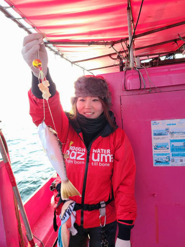 ショウサイフグの釣果