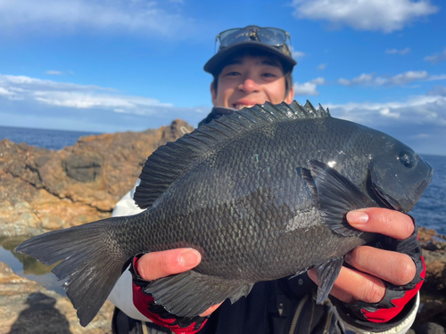 クチブトグレの釣果