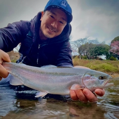 ホウライマスの釣果