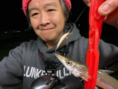 カマスの釣果