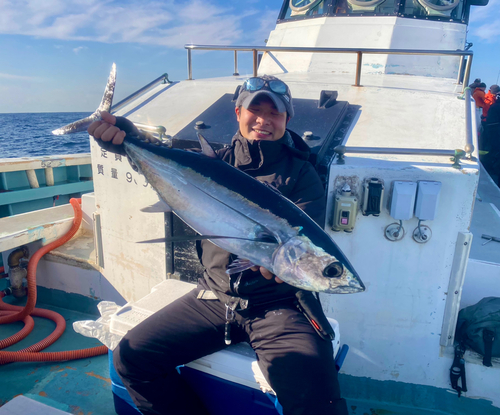 ビンチョウマグロの釣果