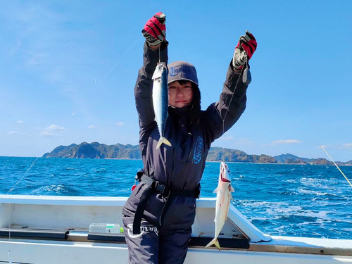 マサバの釣果